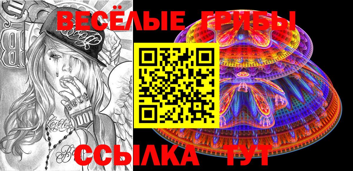 Похвистнево  Галлюциногенные грибы MAGIC MUSHROOMS  Псилоцибиновые грибы Psilocybine cubensis  Вход с VPN 