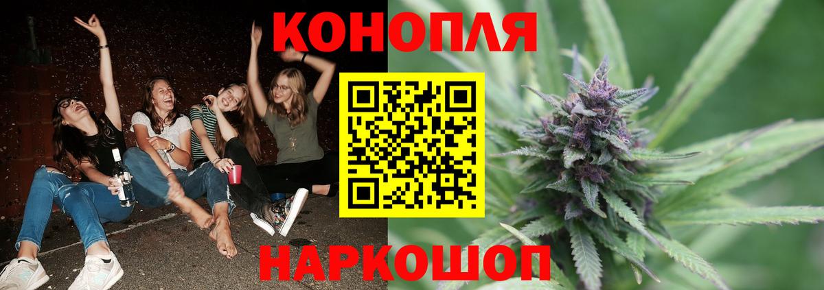 Похвистнево  Бошки марихуана тримм  Вход с VPN  МАРИХУАНА SATIVA & INDICA  Каннабис OG Kush  Каннабис SATIVA & INDICA 